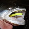 Reiva - Flash Shad 10cm 4db/cs (Lemonade)