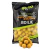 Stég Product - Bionic Boilies 800g 20mm Corn-Nbutyric